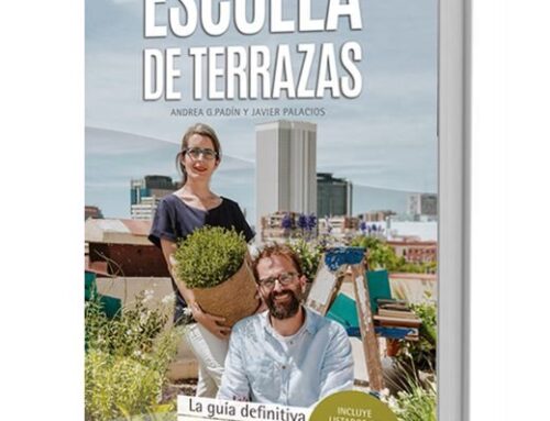 Guía definitiva para decorar tu terraza