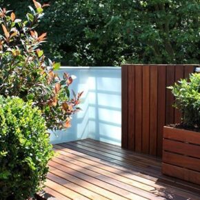 plantas-terrazas-photinia